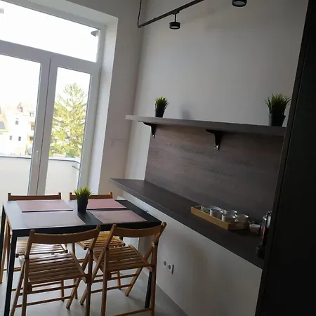 בית אירוח Soukromy V Tripokojovem Byte - Private In Three Flat *