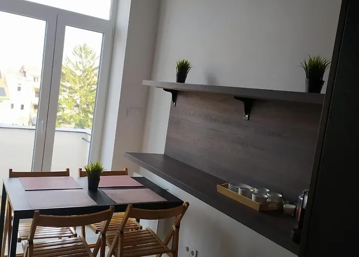 בית אירוח Soukromy V Tripokojovem Byte - Private In Three Flat *